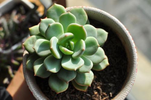 º¼ÖÝÐÂÔö1ÀýÎÞÖ¢×´¸ÐȾÕß ÏµÄ³°²±£¹«Ë¾Ô±¹¤